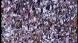 Brasileirão: Santos 3-0 Botafogo (2007)