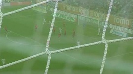 Futebol 365