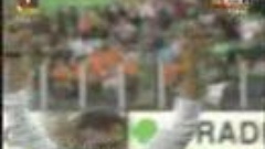 Futebol 365