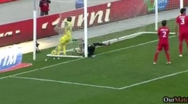 Serie A: Chievo 2 - 0 Catania (2013-2014)