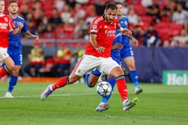 Futebol 365