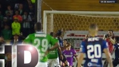 Futebol 365