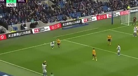 Premier League: Brighton 1 - 0 Wolves (2018-2019)