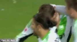 Bundesliga: VfL Wolfsburg 3 - 0 Mainz (2013-2014)