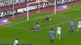 Serie A: Catania 0 - 3 Fiorentina (2013-2014)