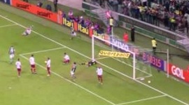 Brasileirão: Palmeiras 2 - 0 Fluminense (2016)