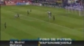 La Liga: Atlético Madrid 2-0 Mallorca (2008-2009)