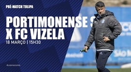 Liga Portugal Bwin: Antevisão de Tulipa ao Portimonense vs Vizela (2022-2023)
