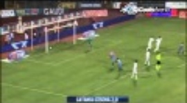 Serie A: Catania 2-0 AC Cesena (2010-2011)