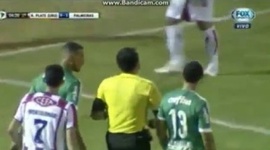Futebol 365
