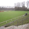 Waldwiese