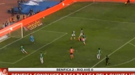 Futebol 365