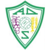 home-team-logo