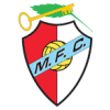 Merelinense