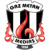 Gaz Metan