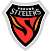 visitor-team-logo