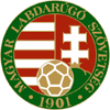 home-team-logo