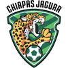 home-team-logo