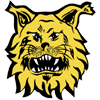 Ilves Tampere
