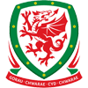 home-team-logo