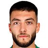 Dimitar Mitkov