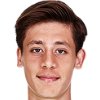 Arda Guler