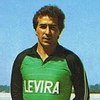 Tibi