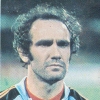 Wilfried van Moer