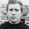 Ivo Viktor