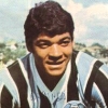 Alcindo