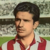 Rivilla
